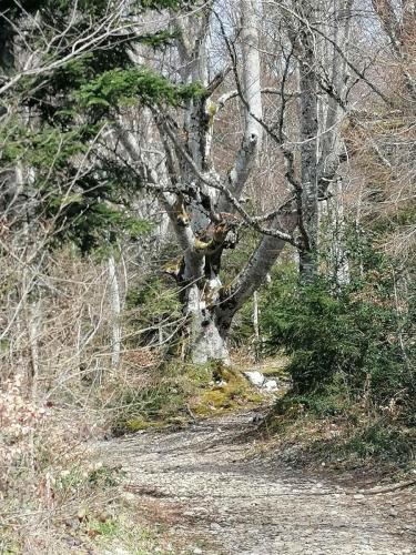 Col de Marcieu 25/03/2024