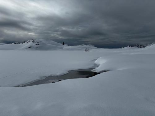 Alpe d'Huez 12-02-2024